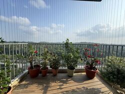 Blossom Residences (D23), Condominium #612600301